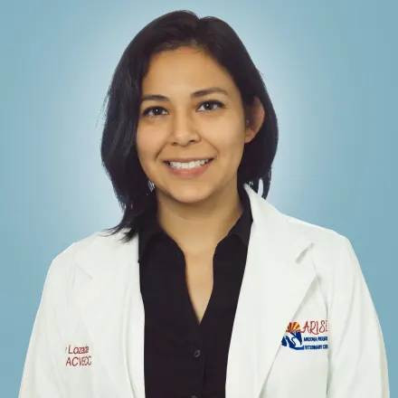Dr. Becky Lozada, DACVECC